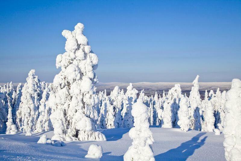 Rovavisit Apartments Siljo Rovaniemi Buitenkant foto
